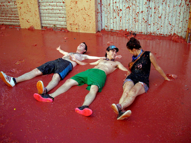 Tomato Fight (64 pics)