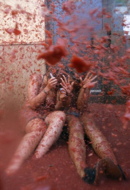 Tomato Fight (64 pics)