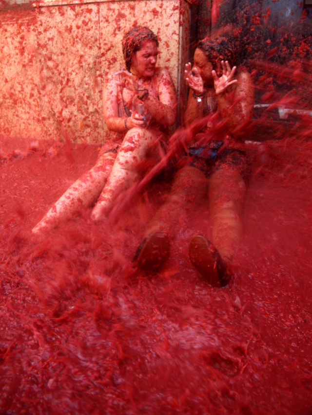 Tomato Fight (64 pics)