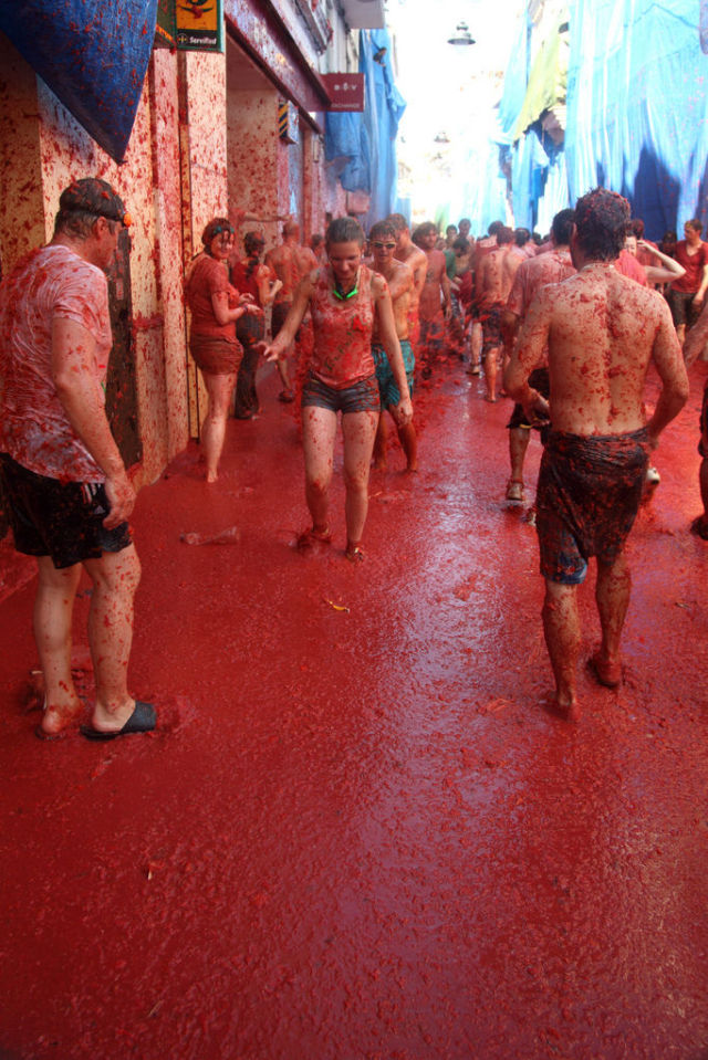 Tomato Fight (64 pics)