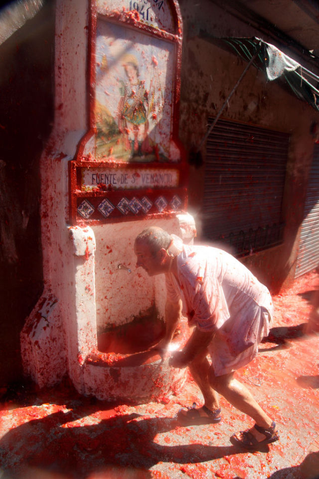 Tomato Fight (64 pics)