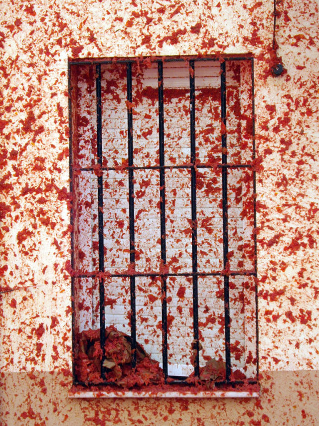 Tomato Fight (64 pics)