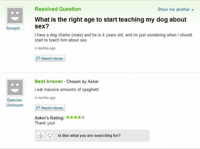 The Best from Yahoo Answers. Part 2 (45 pics)