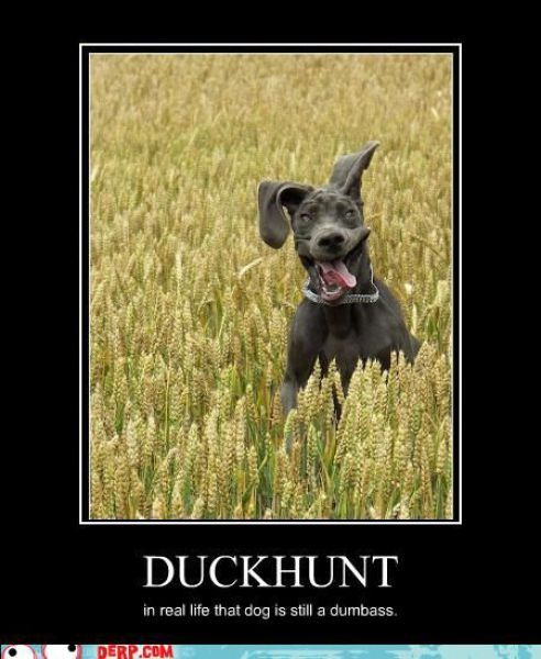 Funny Derp Pictures (72 pics)