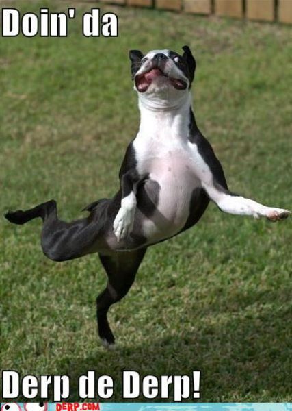 Funny Derp Pictures (72 pics)