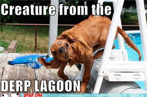 Funny Derp Pictures (72 pics)