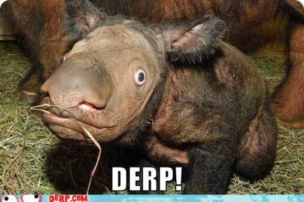 Funny Derp Pictures (72 pics)