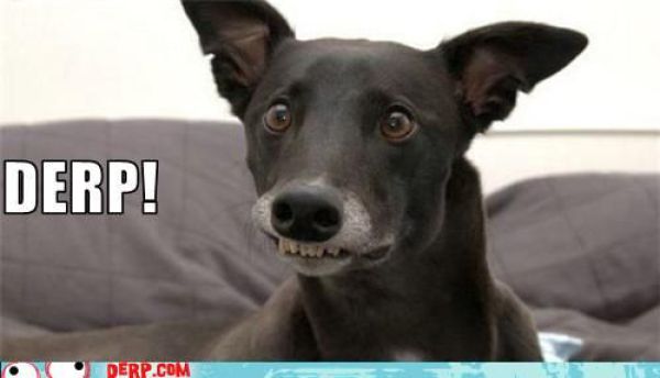 Funny Derp Pictures (72 pics)