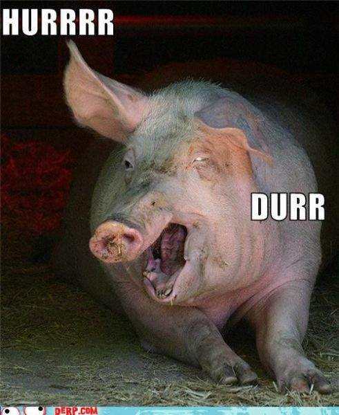 Funny Derp Pictures (72 pics)