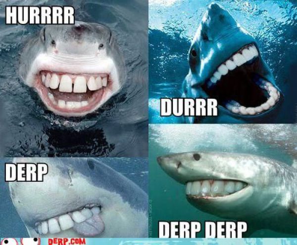 Funny Derp Pictures (72 pics)