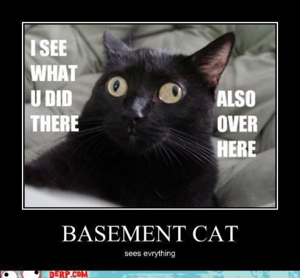 Funny Derp Pictures (72 pics)