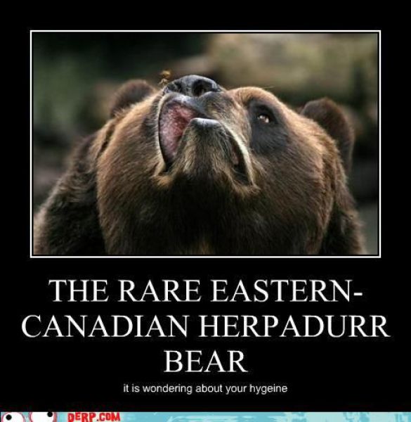 Funny Derp Pictures (72 pics)