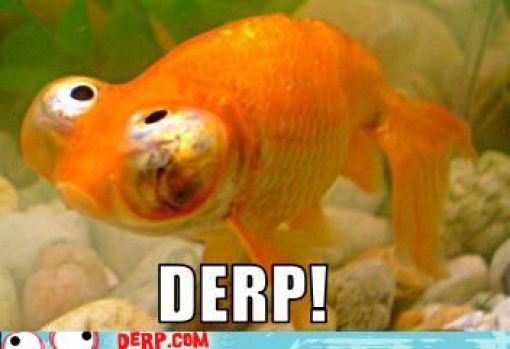Funny Derp Pictures (72 pics)