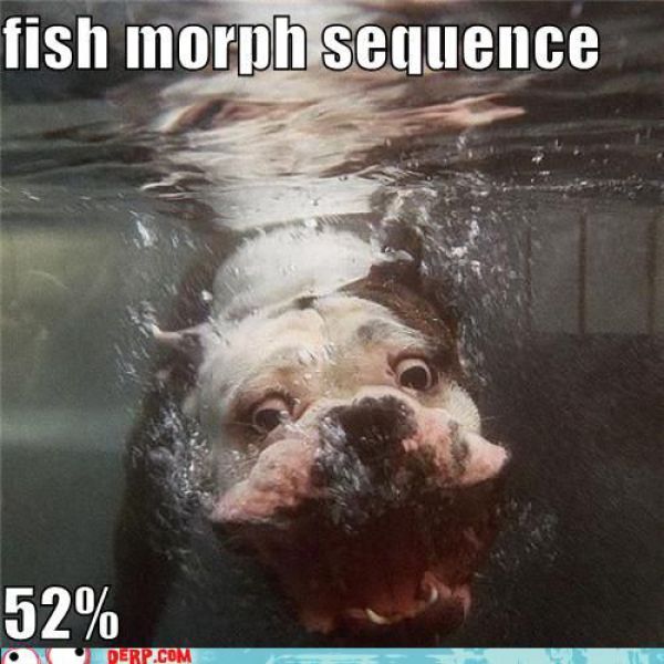 Funny Derp Pictures (72 pics)