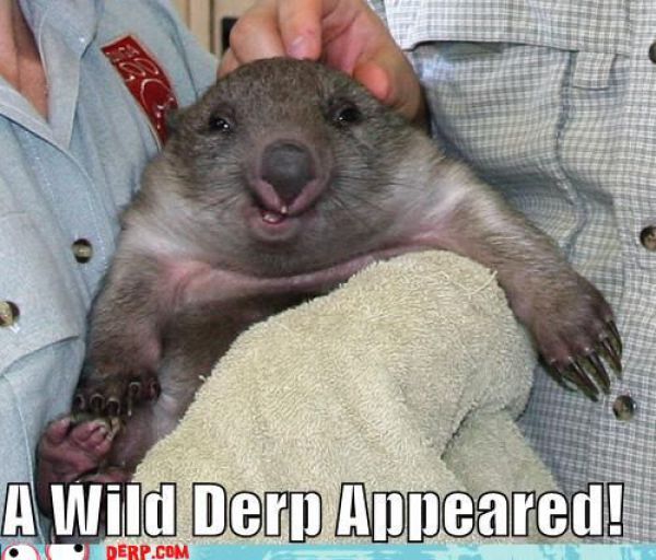 Funny Derp Pictures (72 pics)