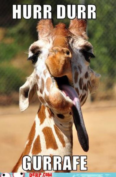 Funny Derp Pictures (72 pics)