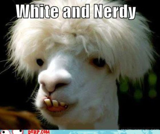 Funny Derp Pictures (72 pics)