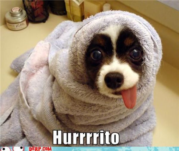 Funny Derp Pictures (72 pics)