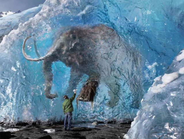 Talented Advertising Photography