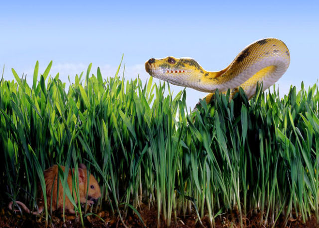 Talented Advertising Photography