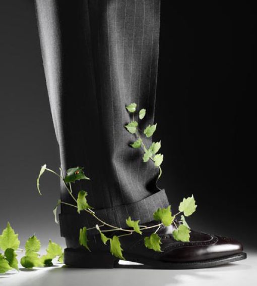 Talented Advertising Photography