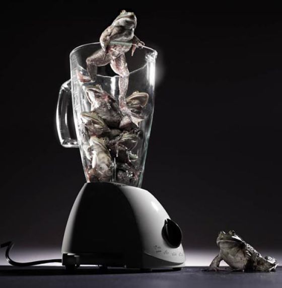 Talented Advertising Photography