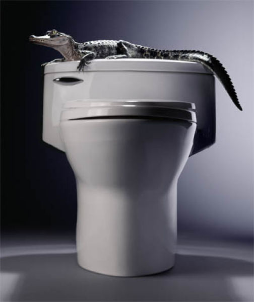 Talented Advertising Photography