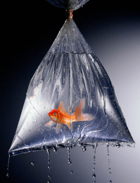 Talented Advertising Photography