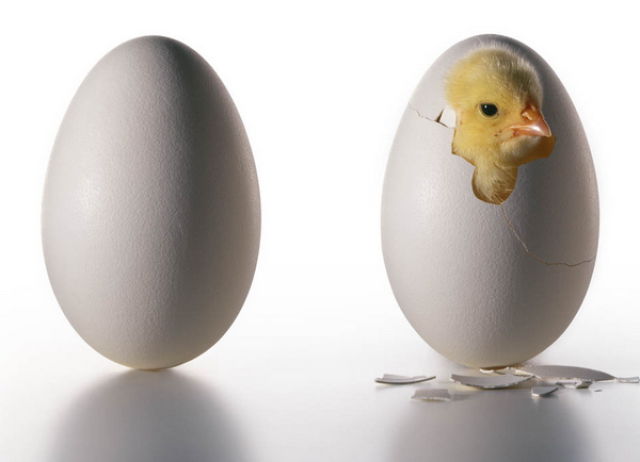 Talented Advertising Photography