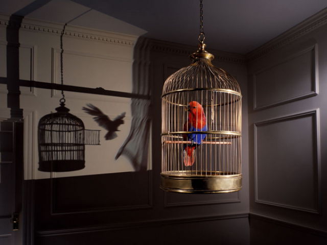 Talented Advertising Photography